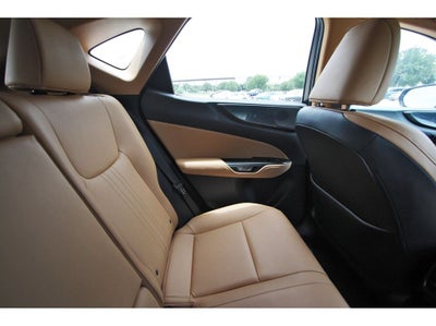 2023 Lexus NX 350 Premium
