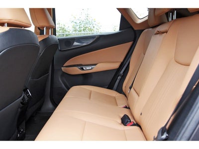 2023 Lexus NX 350 Premium